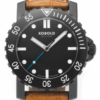 Arctic Diver
